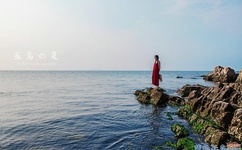 陈诗云微拍29部